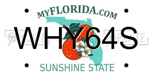 WHY64S Florida License Plate