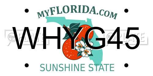 WHYG45 Florida License Plate