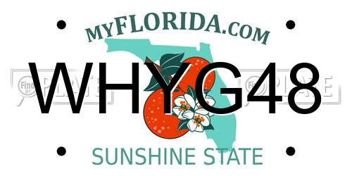 WHYG48 Florida License Plate