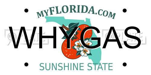 WHYGAS Florida License Plate