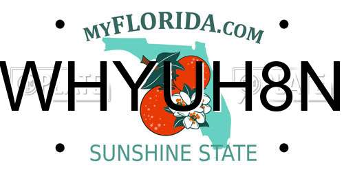 WHYUH8N Florida License Plate