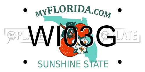 WI03G Florida License Plate
