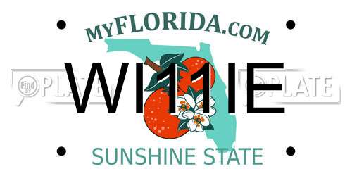 WI11IE Florida License Plate