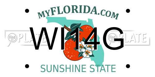 WI14G Florida License Plate