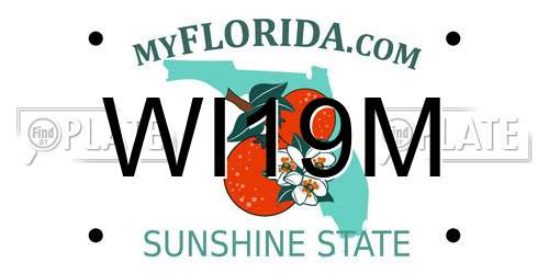 WI19M Florida License Plate