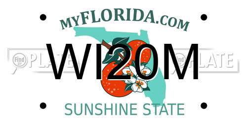 WI20M Florida License Plate