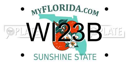 WI23B Florida License Plate