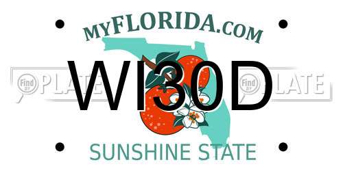 WI30D Florida License Plate