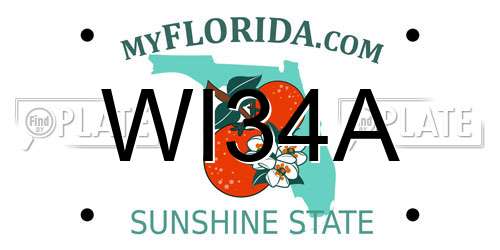 WI34A Florida License Plate