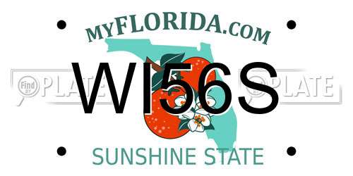 WI56S Florida License Plate