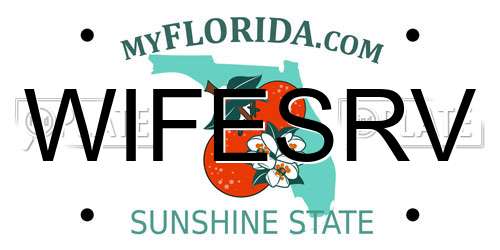 WIFESRV Florida License Plate