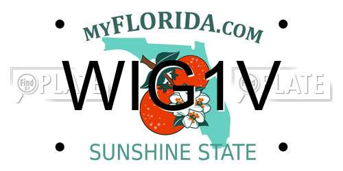 WIG1V Florida License Plate