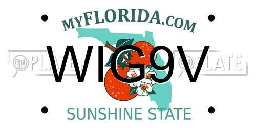 WIG9V Florida License Plate
