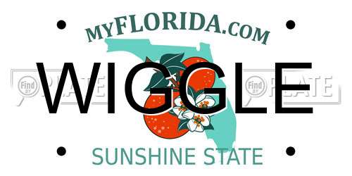WIGGLE Florida License Plate