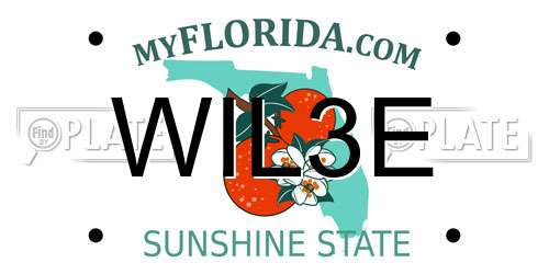 WIL3E Florida License Plate