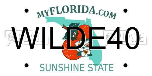WILDE40 Florida License Plate