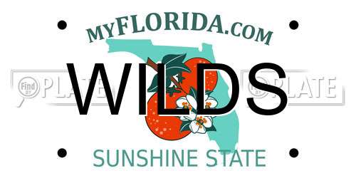 WILDS Florida License Plate