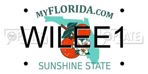 WILEE1 Florida License Plate