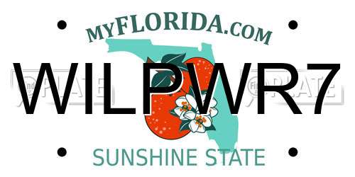 WILPWR7 Florida License Plate