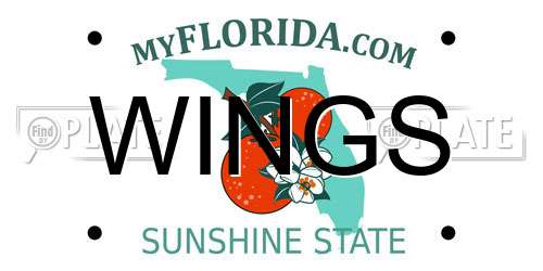 WINGS Florida License Plate