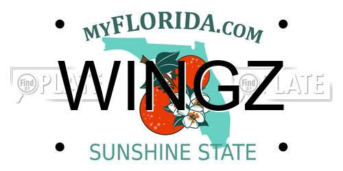WINGZ Florida License Plate