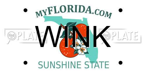 WINK Florida License Plate