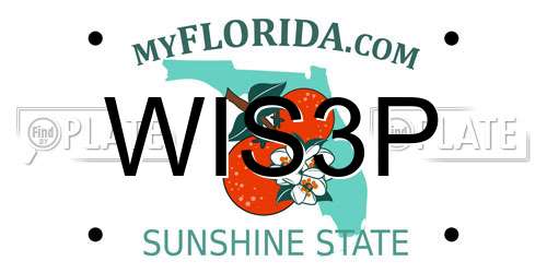 WIS3P Florida License Plate