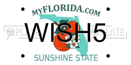 WISH5 Florida License Plate