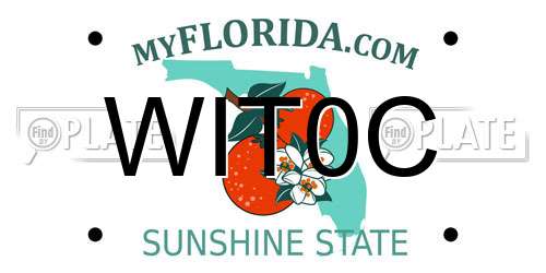 WIT0C Florida License Plate