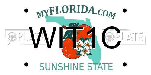 WIT1C Florida License Plate