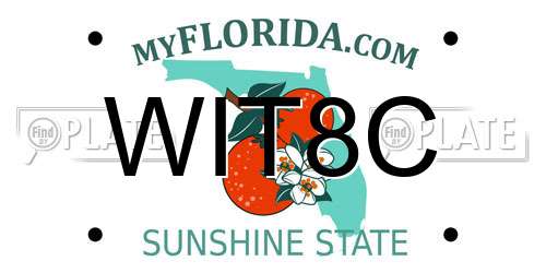 WIT8C Florida License Plate