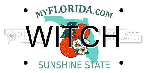WITCH Florida License Plate