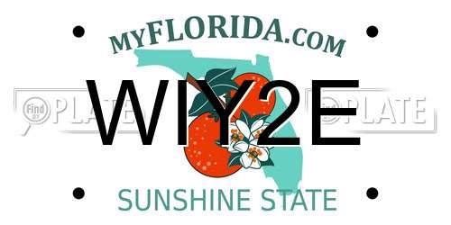 WIY2E Florida License Plate