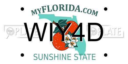 WIY4D Florida License Plate