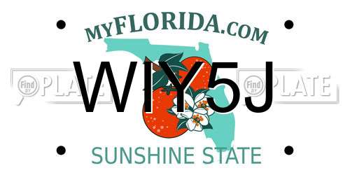 WIY5J Florida License Plate