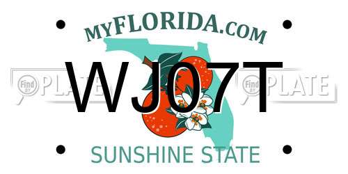 WJ07T Florida License Plate