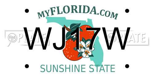 WJ17W Florida License Plate