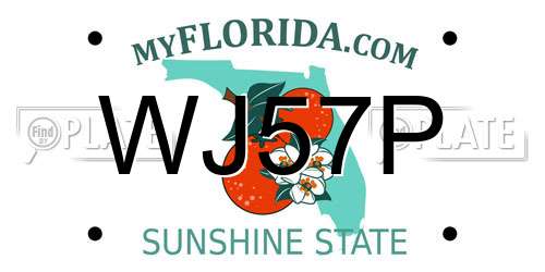 WJ57P Florida License Plate