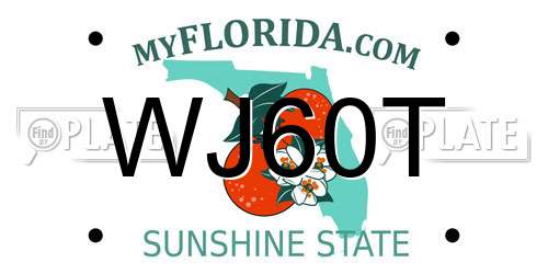 WJ60T Florida License Plate