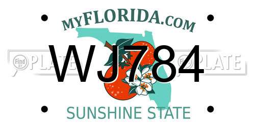 WJ784 Florida License Plate