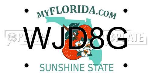 WJD8G Florida License Plate