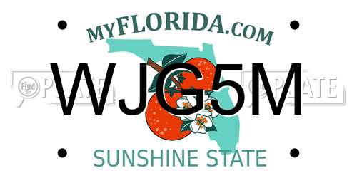 WJG5M Florida License Plate