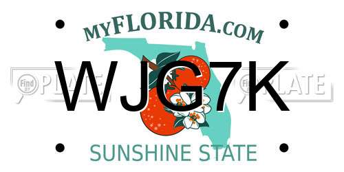 WJG7K Florida License Plate