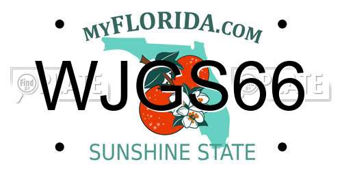 WJGS66 Florida License Plate