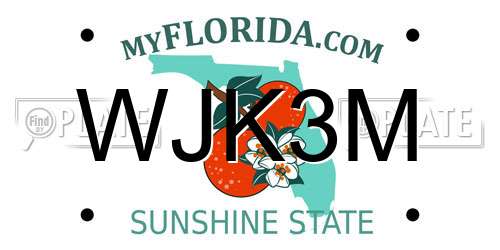 WJK3M Florida License Plate