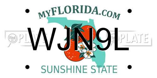 WJN9L Florida License Plate