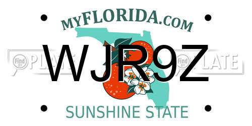 WJR9Z Florida License Plate