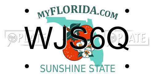 WJS6Q Florida License Plate