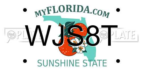 WJS8T Florida License Plate