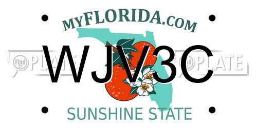 WJV3C Florida License Plate